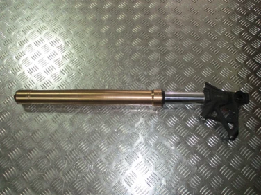 Lagi golenie zawieszenie przÓd triumph speed triple 1050