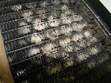 ChŁodnica wody przÓd honda vt 750 shadow rc58 10-14