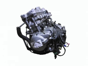 Silnik engine honda cb600 hornet