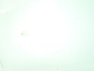 PŁug plastik przÓd owiewka bmw c evolution prawy