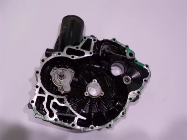 CzĘŚci silnik silnikowesea doo rxp/rxt/260
