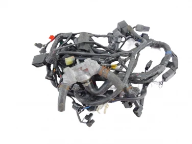 INSTALACJA ELEKTRYCZNA WIĄZKA TRIUMPH SPEED MASTER 865 07-14 OEM 2501495
