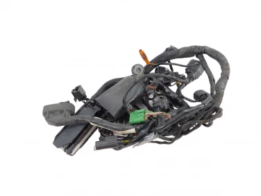 INSTALACJA ELEKTRYCZNA WIĄZKA BMW F800R K73 05-14
