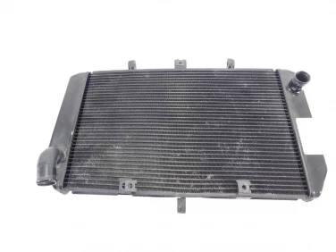 CHŁODNICA WODY PRZÓD KAWASAKI Z 750 07-12 390600034