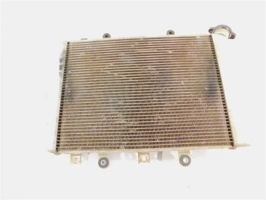 ChŁodnica wody wodna yamaha yfm 550 700 grizzly 28p-1240a-00-00