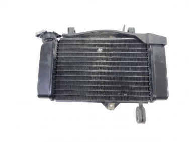 CHŁODNICA WODY PRZÓD YAMAHA MT 125 14-19 5D7E240A2000