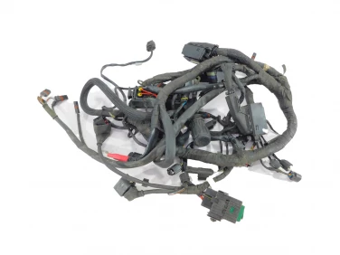 INSTALACJA ELEKTRYCZNA WIĄZKA BMW K 1300 R K43 08-15 7712926