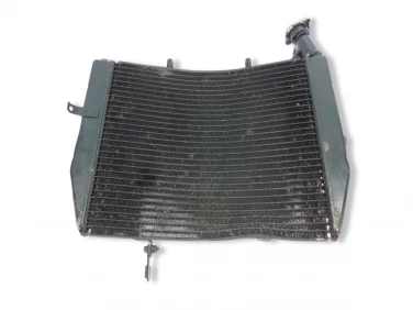 CHŁODNICA WODY PRZÓD TRIUMPH DAYTONA 675 06-08 T2100073