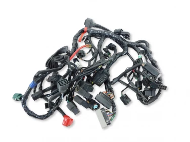 INSTALACJA ELEKTRYCZNA WIĄZKA TRIUMPH STREET TRIPLE 675 R 3-16 T2501645