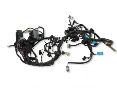 INSTALACJA ELEKTRYCZNA WIĄZKA TRIUMPH SPRINT 955I ST 98-04 T25003974