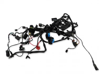 INSTALACJA ELEKTRYCZNA WIĄZKA TRIUMPH STREET TRIPLE 765 R 17-19 U-11 T2507659