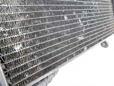 ChŁodnica wody przÓd suzuki tl 1000 98-03 u-11 1771002f10