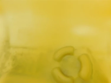 Zbiornik paliwa yamaha fzr rzx 1800 waverunner u-11 f1w-u7711-01-00