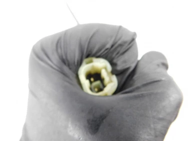 Czujnik abs tyŁ tylni triumph tiger 800 xcx 15-18 u-11 007v501a0