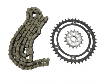 ZĘBATKA NAPĘD ŁAŃCUCH BMW G 310 R 21-25 U-11 33838394027