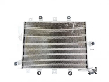 CHŁODNICA WODY WODNA YAMAHA YFM 550 700 GRIZZLY U-11 1HP-E2460-00-00