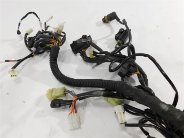 Instalacja elektryczna wiĄzka husqvarna 701 enduro 16-23 u-11 76911075000