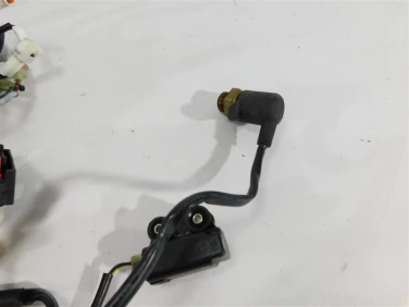 Instalacja elektryczna wiĄzka husqvarna 701 enduro 16-23 u-11 76911075000