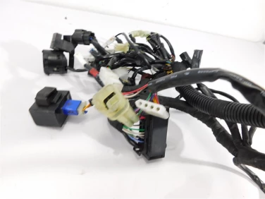 Instalacja elektryczna wiĄzka husqvarna 701 enduro 16-23 u-11 76911075000