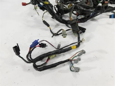 Instalacja elektryczna wiĄzka triumph tiger 01-06 955i u-11 t2500542