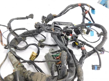 Instalacja elektryczna wiĄzka triumph tiger 01-06 955i u-11 t2500542