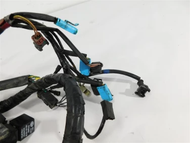 Instalacja elektryczna wiĄzka triumph tiger 01-06 955i u-11 t2500542