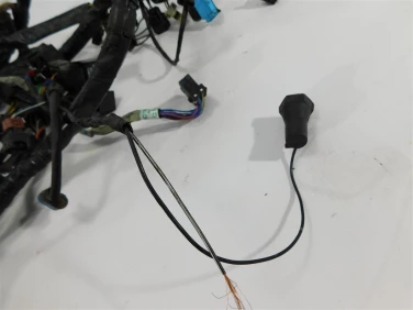 Instalacja elektryczna wiĄzka triumph tiger 01-06 955i u-11 t2500542