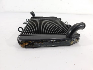 ChŁodnica wody przÓd kawasaki z 1000 sx 17-19 u-11 390600081