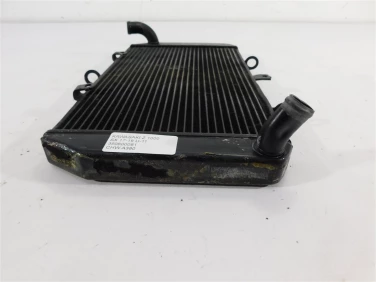 ChŁodnica wody przÓd kawasaki z 1000 sx 17-19 u-11 390600081