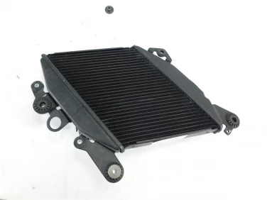 ChŁodnica wody przÓd ducati diavel 1200 15-18 u-11 54840881b