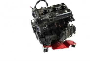 Silnik engine triumph tiger 955i 2005 42877km w236979